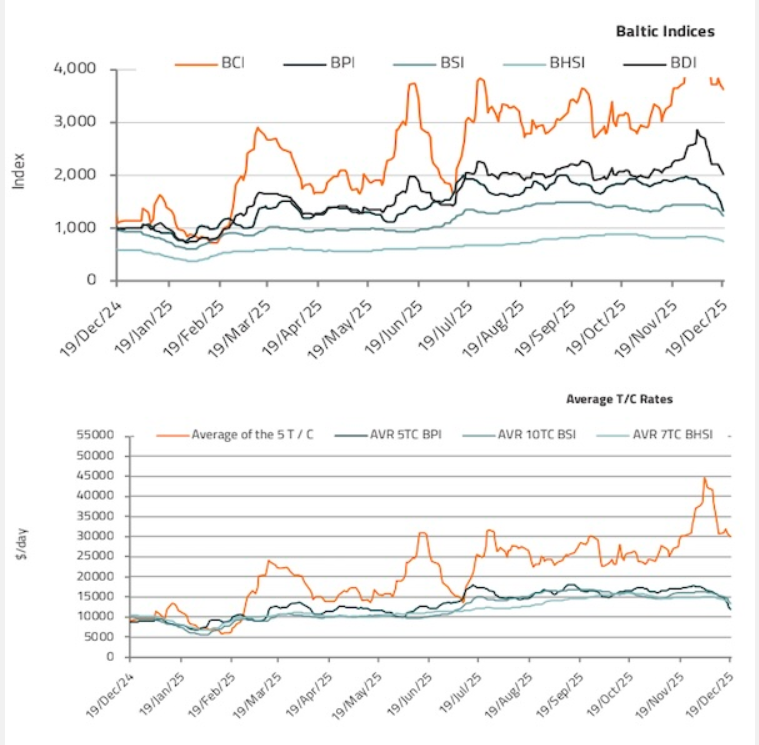 专家：俄乌若和解，干散货市场将迎结构性增长