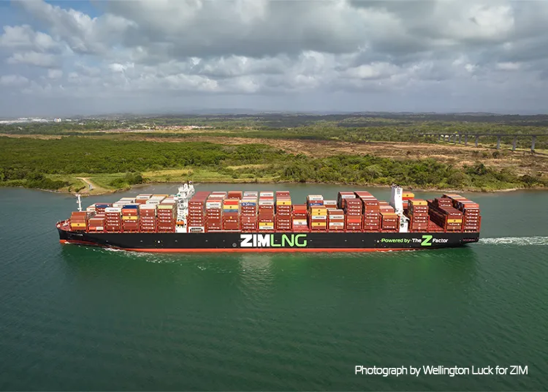 ZIM股价大涨，网传政府关注收购进展