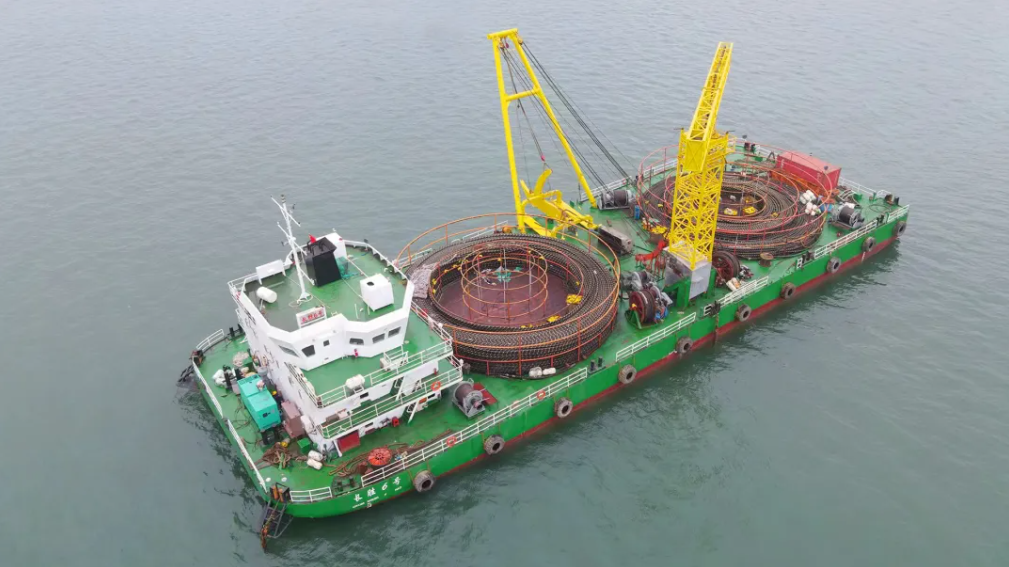 屏幕截图 2026-01-29 091939.png