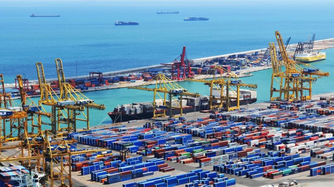 微信图片_2026-03-04_184105_610.jpg 微信图片_2026-03-04_184105_610.jpg