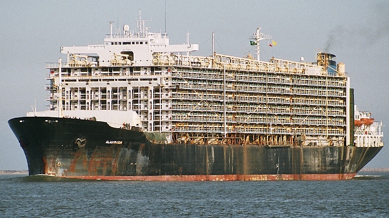 This Fleet Is the Worst Performer in the Shipping Industry